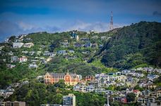 维多利亚山-惠灵顿