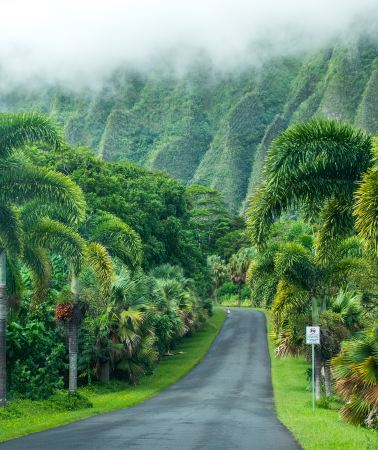 9D8N • Experience Endless Aloha: Simplify Hawaii Honolulu With Three Days Free Time