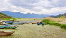 草海-盐源-Yannis_Yip