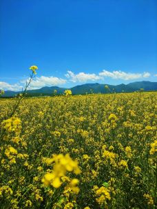 循化旅游区-循化-12897408