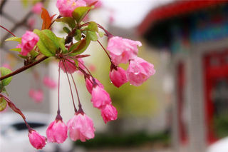 雨中古城,“雨”你共赏