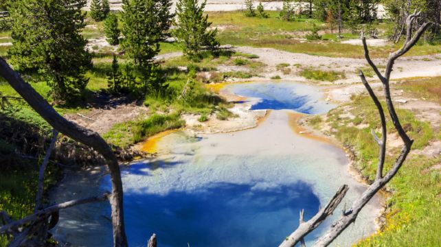 4-Day Yellowstone Tour from Salt Lake City·Grand Teton, Artist Point, Upper Yellowstone Falls, Mud Volcano Area