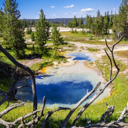 美国盐湖城+黄石国家公园7日私家团