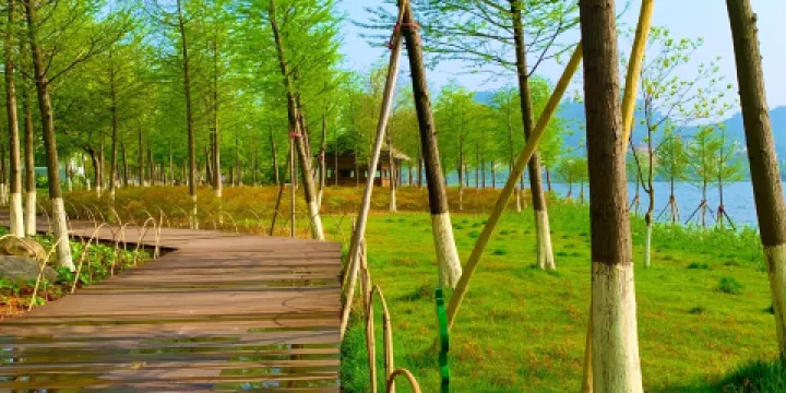 樂清市清和公園