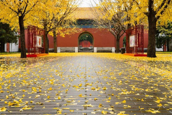 北京秋季必去胡同大盘点