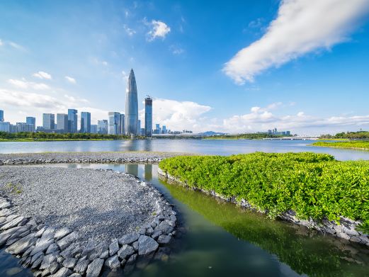 深圳湾公园-运动公园