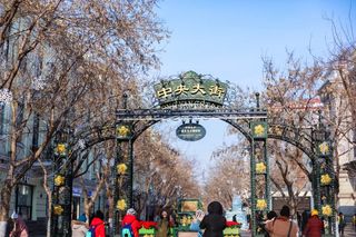 哈尔滨郊外发现一个小众秘境！滑雪、寻鹿、狩猎，太惊喜了