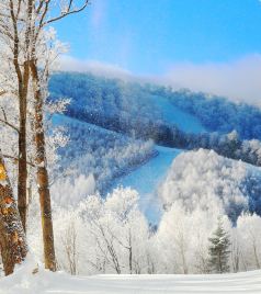 长白山国际度假区游记图文-冬季滑粉雪，首选长白山，冬天该有的样子万达国际度假小镇都有