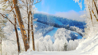 冬季滑粉雪,首选长白山,冬天该有的样子万达国际度假小镇都有