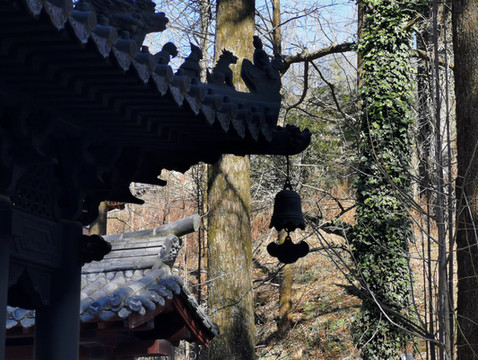 江南名寺之首,被誉为“日本寺庙学习的楷模”,却鲜为人知