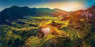 2-Day Wuyuan Tour: Return to Pastoral Life Amidst Rapeseed Flower Fields