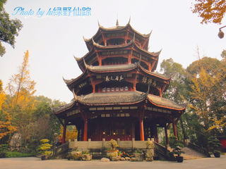 四川十三日游之成都篇(一)