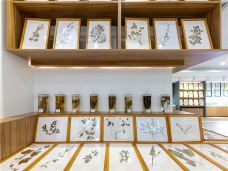 苏州中国花卉植物园-苏州-C-IMAGE