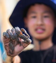 茅洋乡游记图文-暑假带娃新玩法！去浙江宁波赶海，抓了一桶螃蟹现烧现吃味道真好