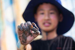 暑假带娃新玩法！去浙江宁波赶海，抓了一桶螃蟹现烧现吃味道真好