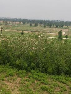 汉长安城未央宫国家考古遗址公园-西安-世界美食游走达人