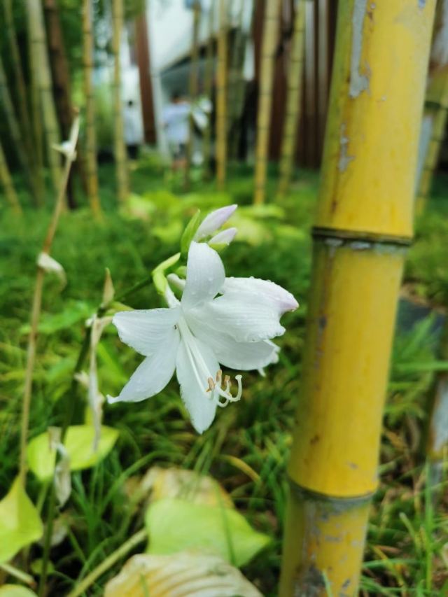 回龙观生态休闲公园旅行图片 2