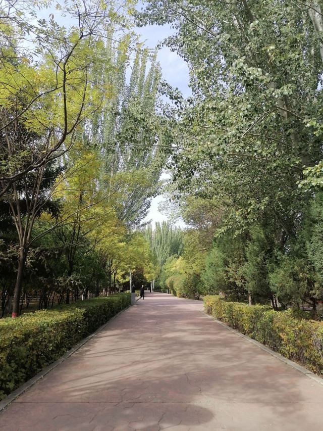 劳动公园旅行图片 1