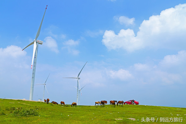 贵阳高坡云顶草原 浪漫又可以看星空的地方