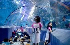 苏州海洋馆-苏州-C-IMAGE