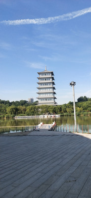 西安世园会荷园美景_摄影爱好者必打卡地