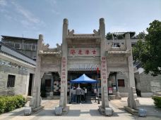 黄埔村-广州-大松树叶子