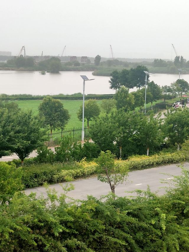 灞渭生态滩区旅行图片 14