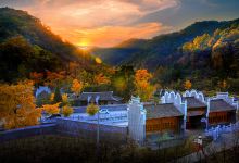 安陆钱冲古银杏生态旅游区景点图片