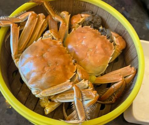 川骄海鲜自助(新华贸店)餐厅图片