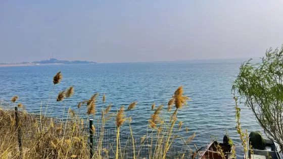 黃壁莊水庫濕地