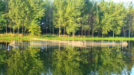 西淝河濕地公園