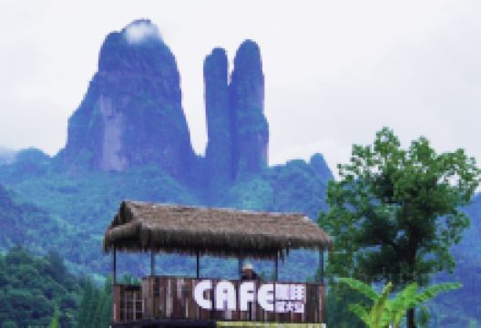 江山江郎山山田花舍民宿·萤火虫稻田咖啡美食图片