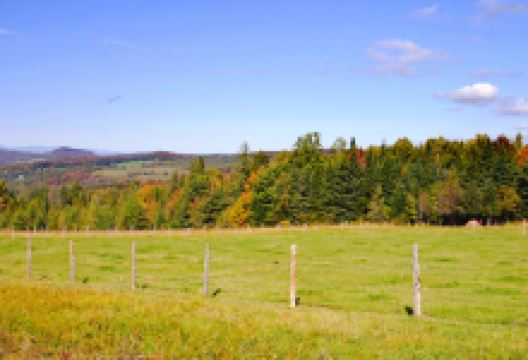 小岩井农场景点图片