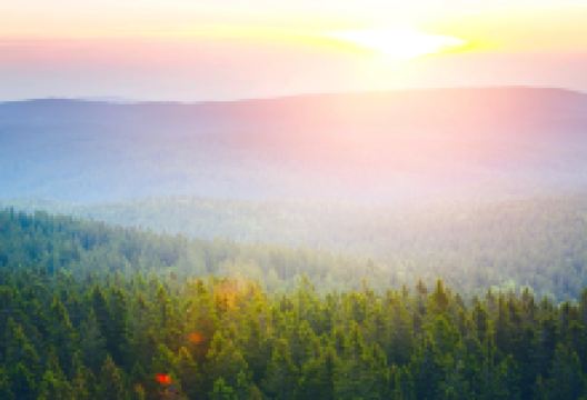 东山风景名胜区-东山公园景点图片