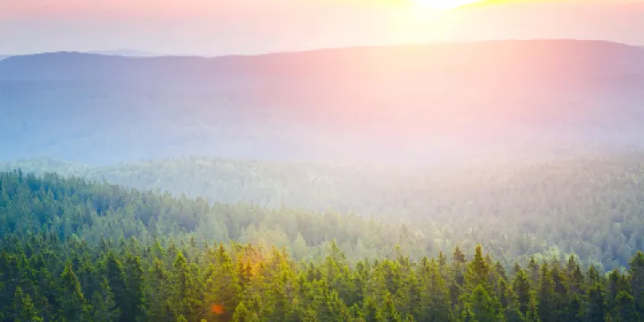 東山風景名勝區-東山公園