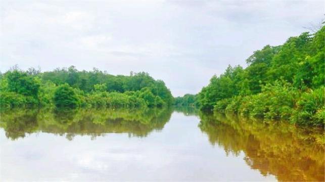 萤河红树林餐厅图片