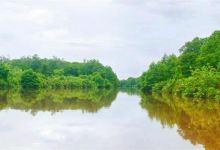 萤河红树林美食图片