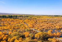 金湖杨国家森林公园景点图片