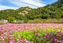 雁荡山景点图片