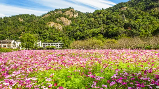 雁蕩山