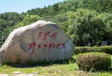 八达岭野生动物世界景点图片