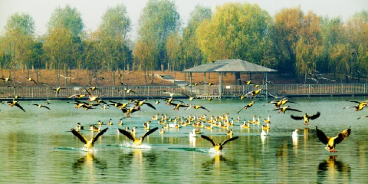 泰山寶泰隆旅遊度假區