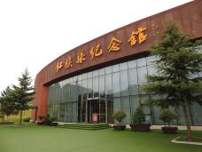 红旗渠-林州-大松树叶子