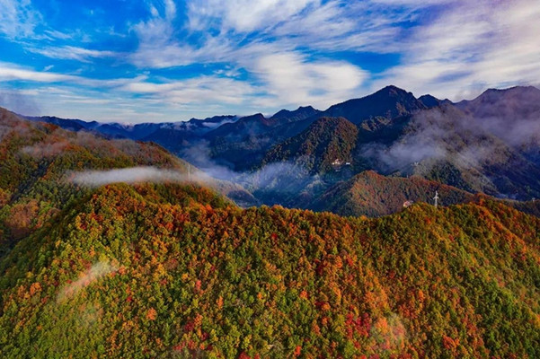 秦岭赏红叶｜一条秦岭景观大道，四处红叶秘境，附红叶地图