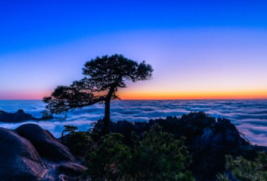 上饶三清山一日游【可选8人小团 纯玩可选中圈小圈】【服务承诺：行程中无任何服务、真纯玩、纯净旅行！】