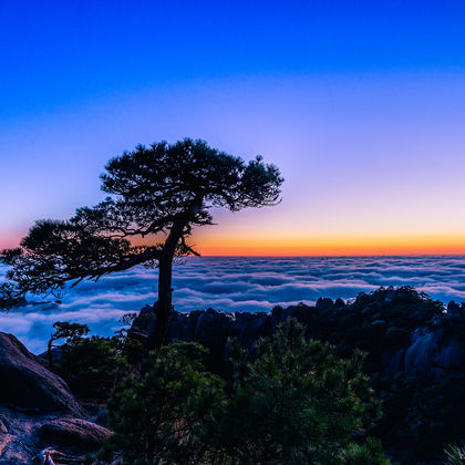 江西上饶三清山风景区一日游