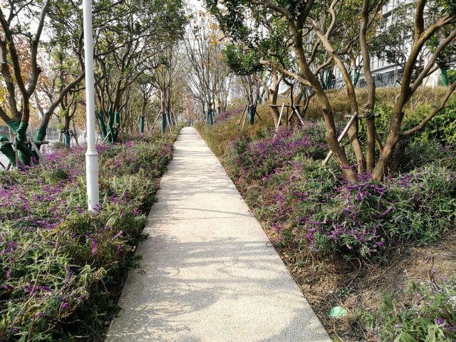 奇趣蛋壳公园旅行图片 3