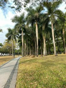 珠江公园-广州-红糖泡泡