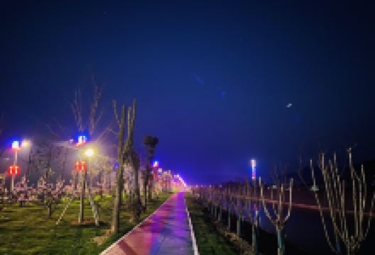 桃红岭梅花鹿国家级自然保护区景点图片