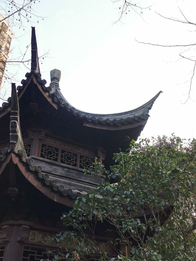 蓬莱公园旅行图片 11